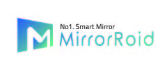 Company Name