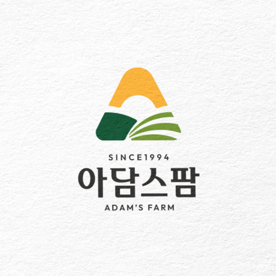 Company Name