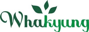 Company Name