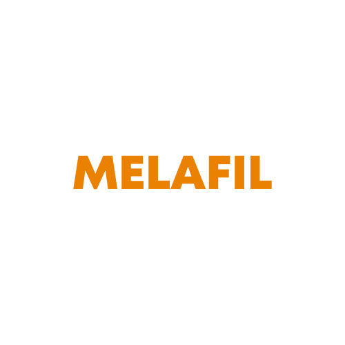 Company Name