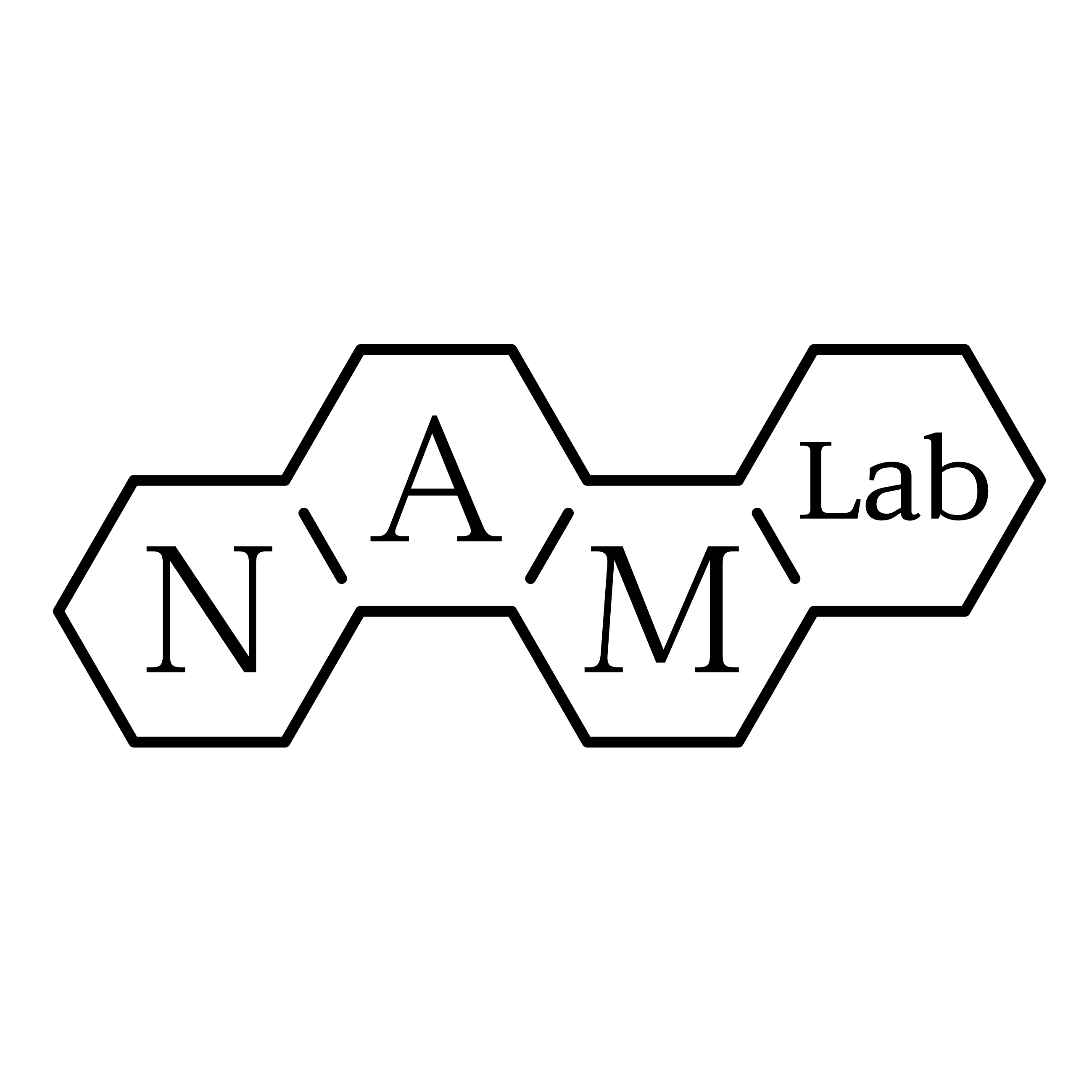 Company Name