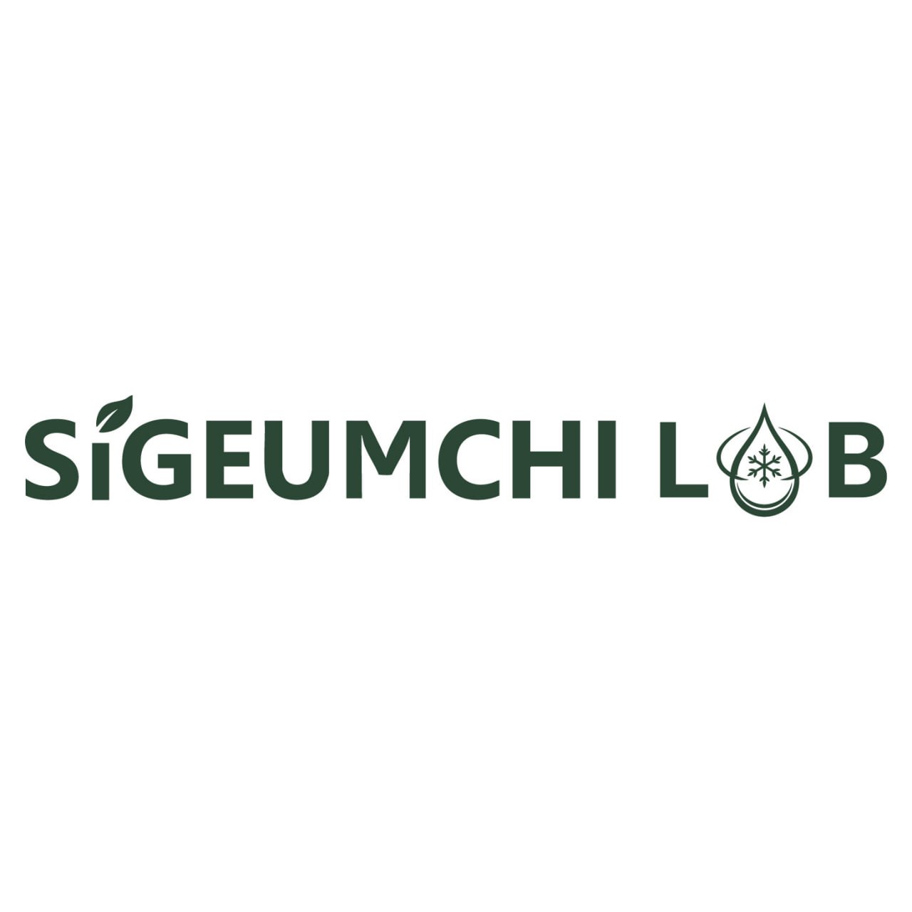 Company Name