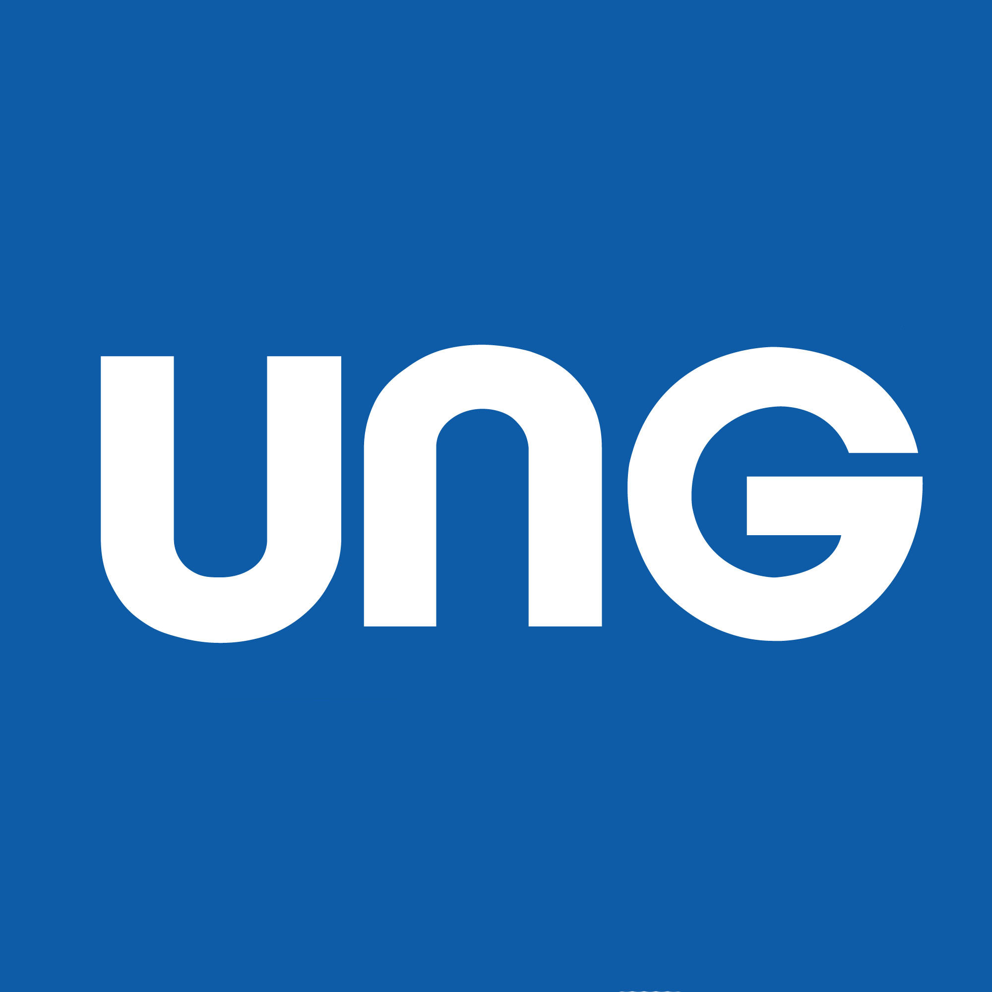 Company Name