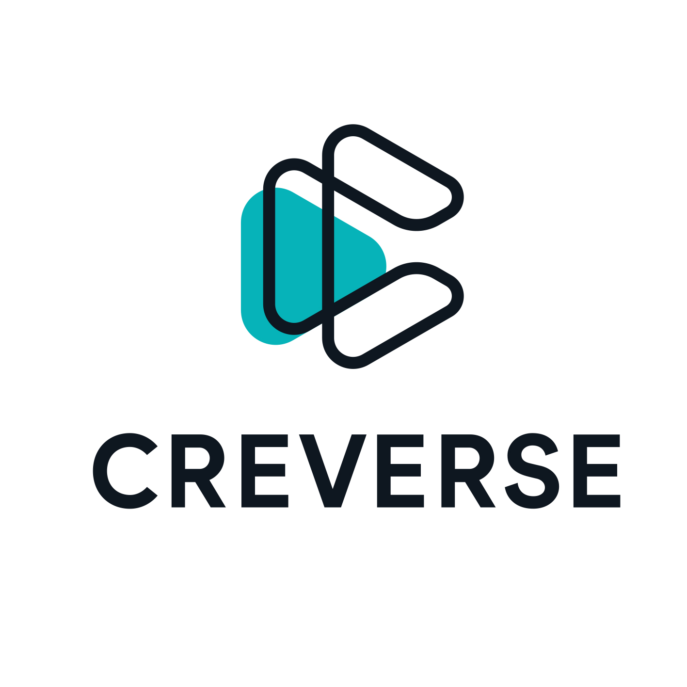 Company Name
