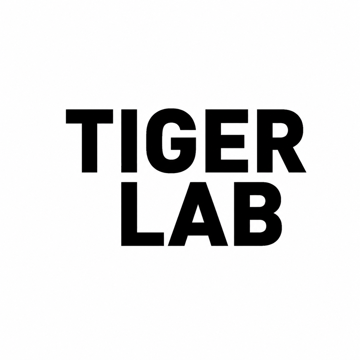 Company Name