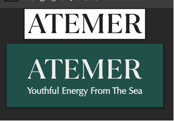 Company Name