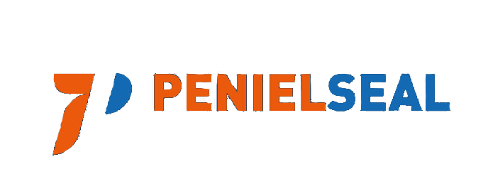Company Name