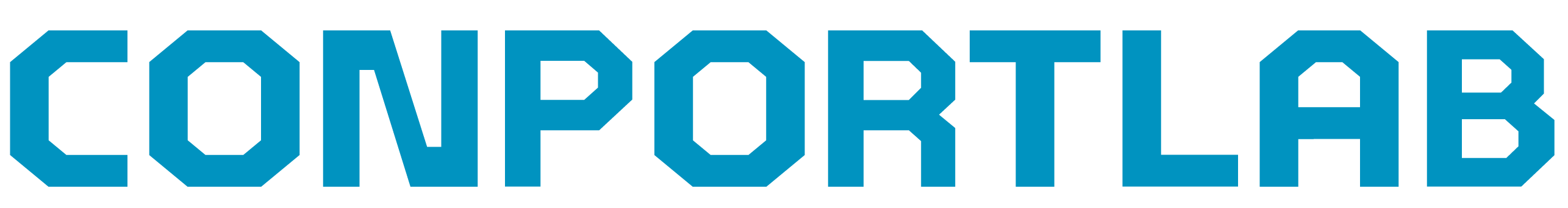 Company Name