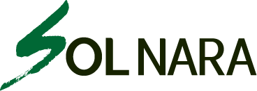 Company Name