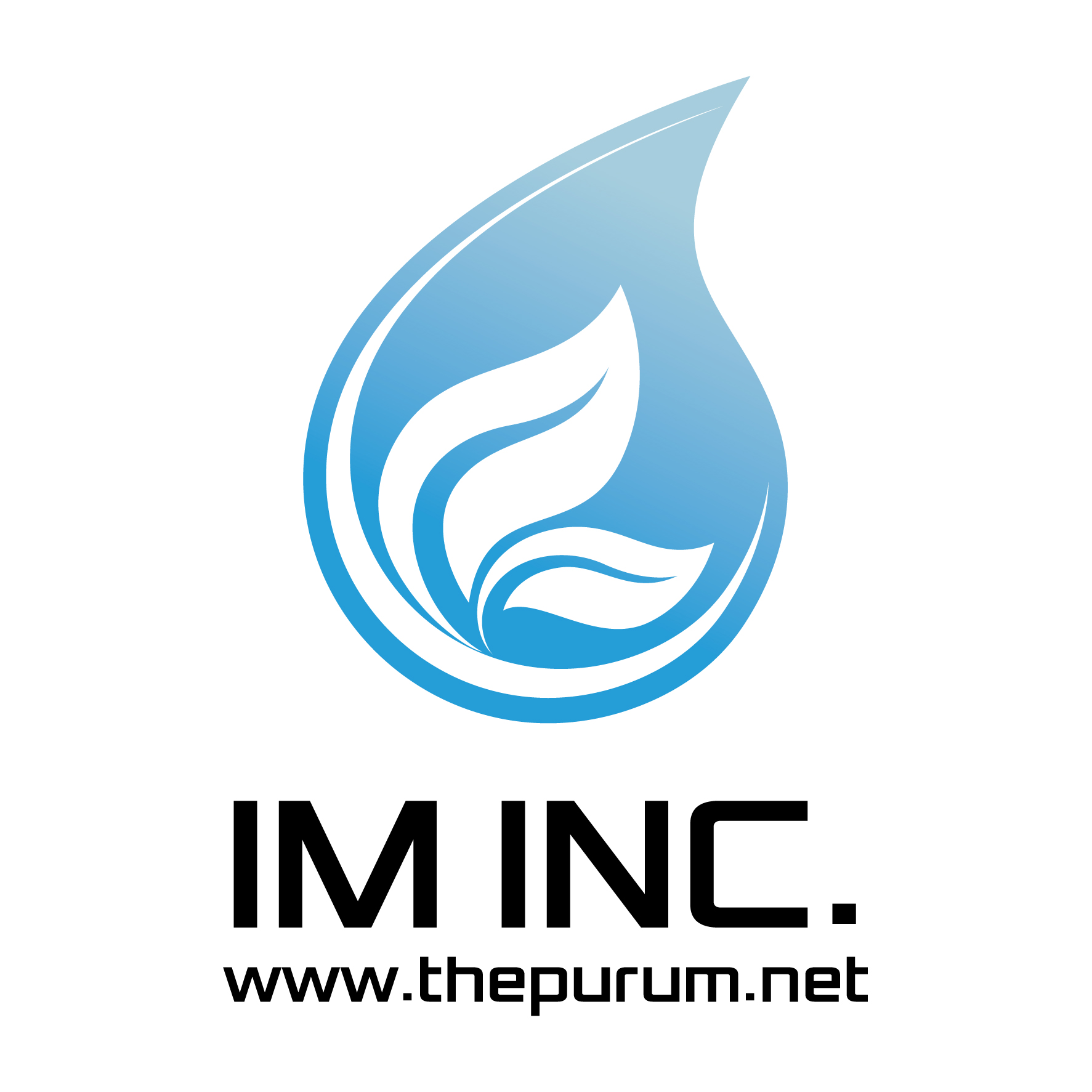 Company Name