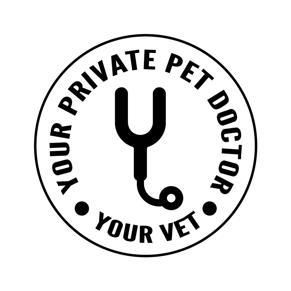 Company Name