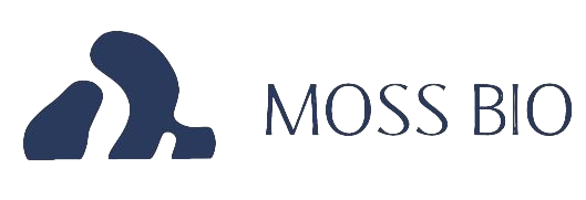 Company Name