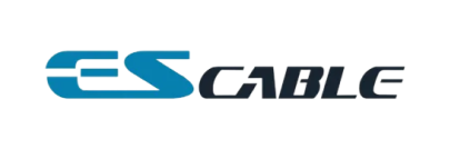 Company Name