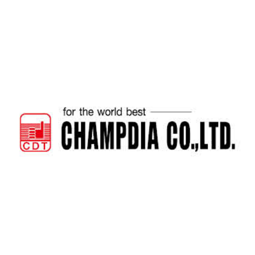 Company Name