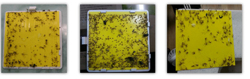 external_image external_image